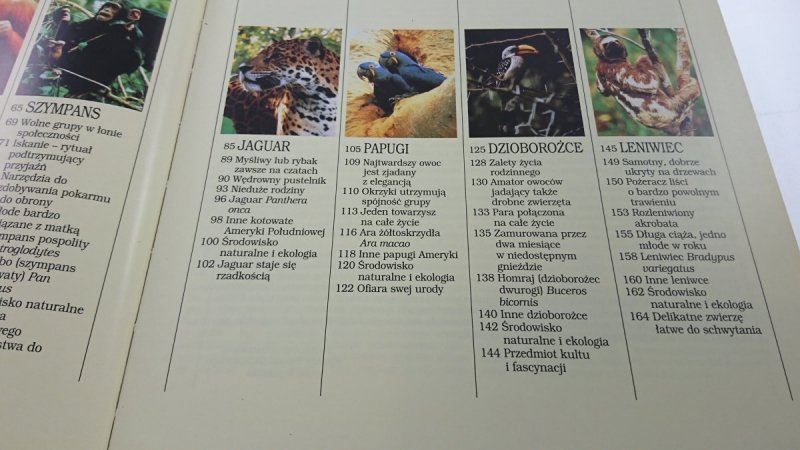 DŻUNGLA. ENCYKLOPEDIA DZIKICH ZWIERZĄT 1992