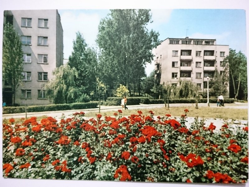 STARACHOWICE. FRAGMENT OSIEDLA PARTYZANTÓW FOT. KRASSOWSKI
