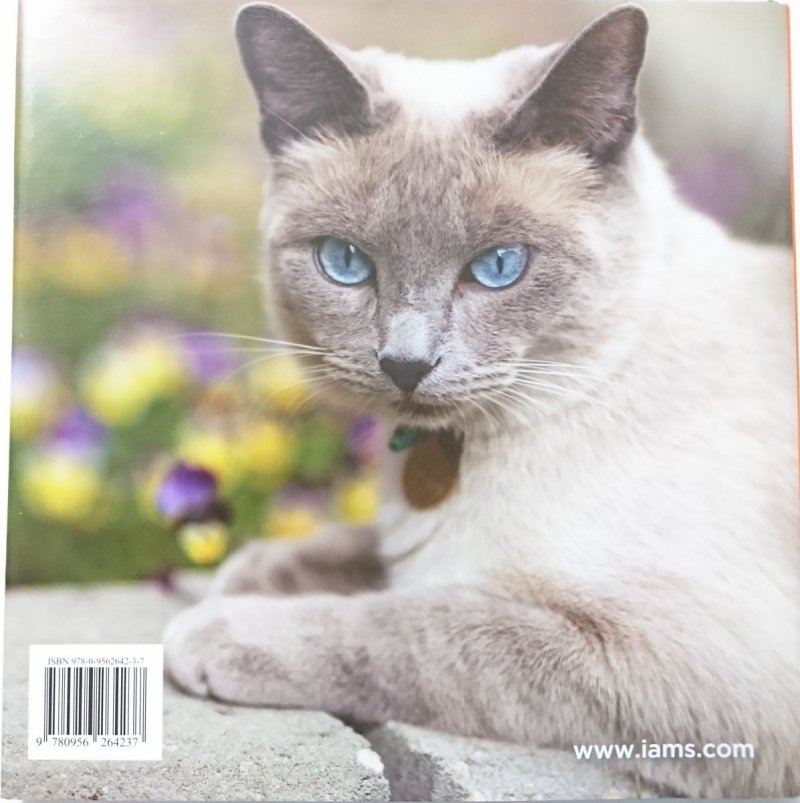 CATS – A MASTERPIECE OF NATURE 2009