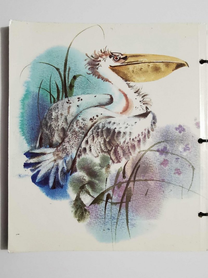 URWIS PACKO - Rudo Moric 1986