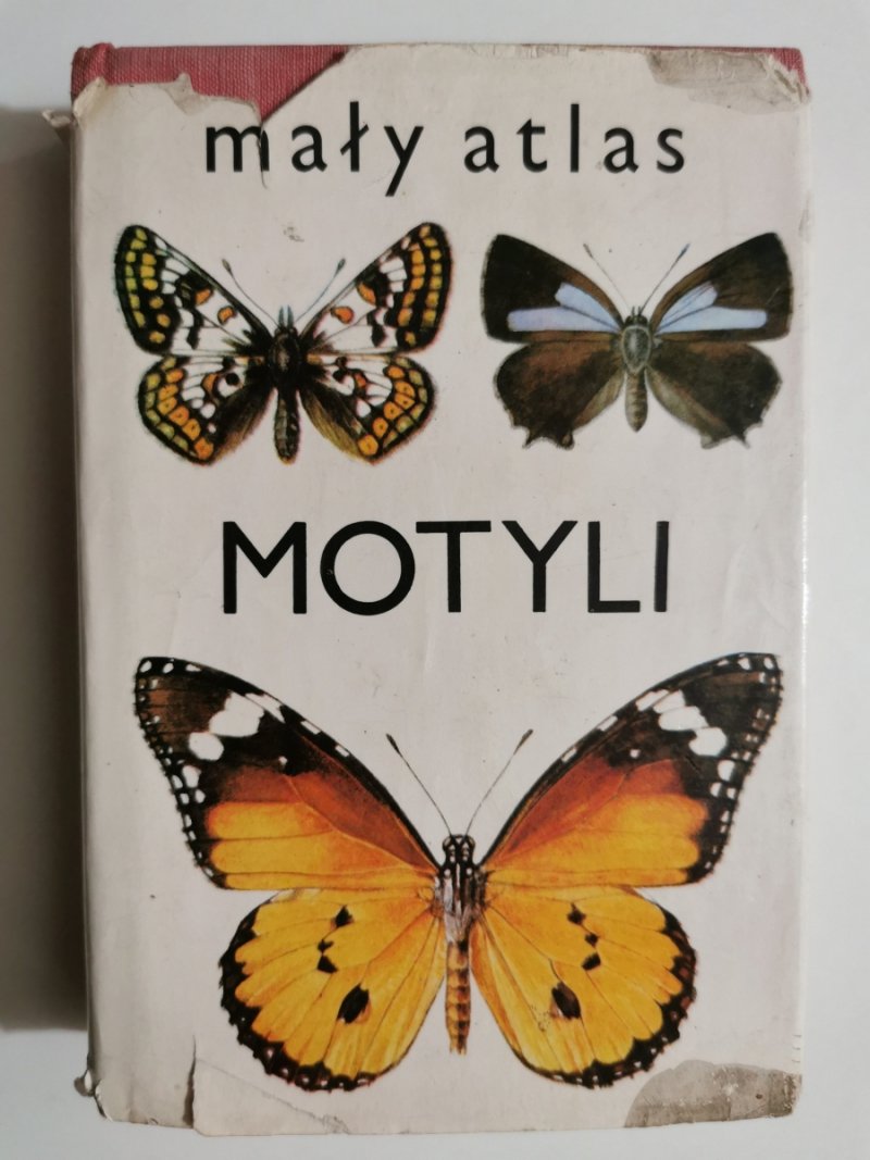 MAŁY ATLAS MOTYLI