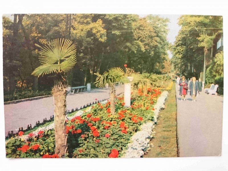 ODESSA. ARKADIA
