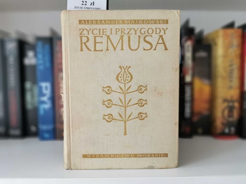 Życie i przygody Remusa - Aleksander Majkowski