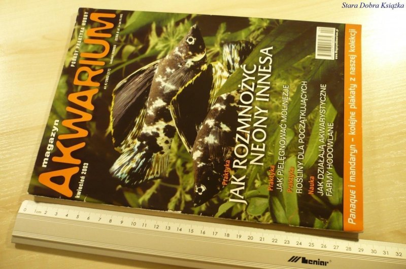 MAGAZYN AKWARIUM NR 4/2003 (17) BEZ PLAKATU