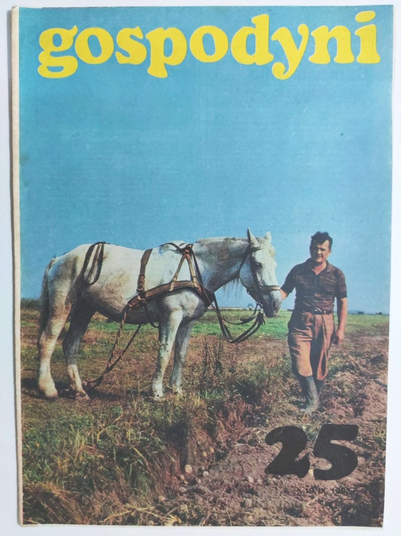 GOSPODYNI 25/1982
