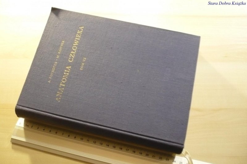 ANATOMIA CZŁOWIEKA TOM VII - A. Bochenek 1965