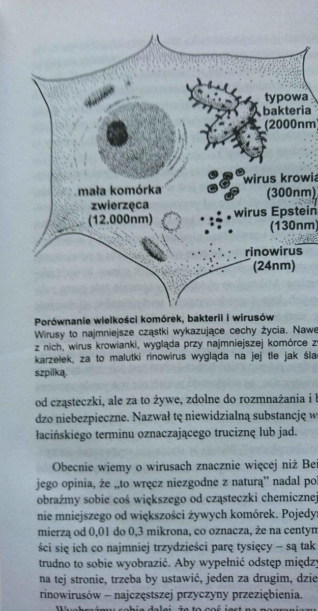 NIEWIDZIALNI NAJEŹDŹCY - Peter Radetsky 1998