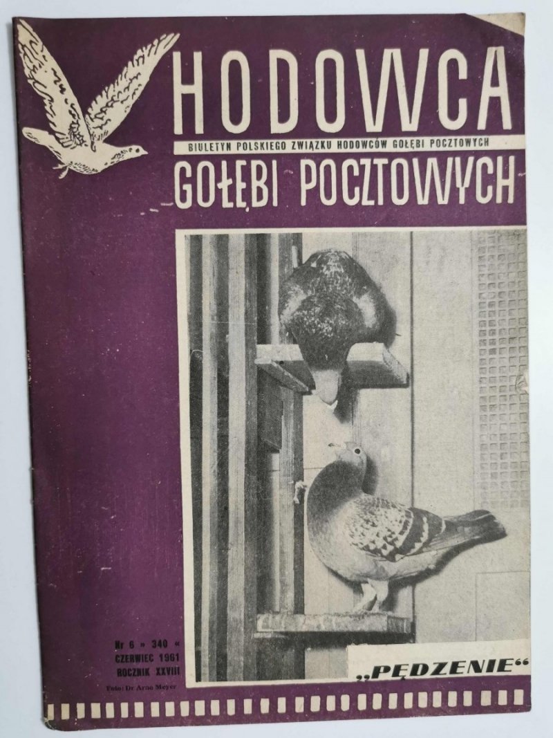 HODOWCA GOŁĘBI POCZTOWYCH NR 6 1961
