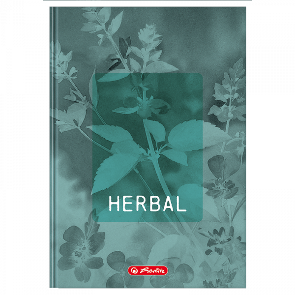 Brulion A5 96k kratka z marginesem BLOSSOM 400206436 HERLITZ