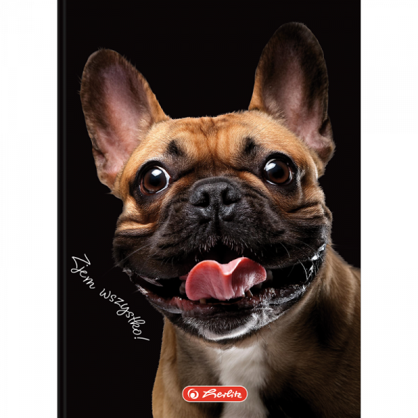 Brulion A6 80k kratka CRAZY ANIMAL 400196850 HERLITZ