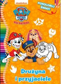 Psi Patrol Pokoloruj świat 6 Drużyna i przyjaciele 