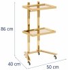 Pomocnik kosmetyczny - 2 półki - 40 x 86 x 50 cm - złoty Physa 10040686 PHYSA-CT-1 