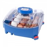 Inkubator do jaj - 16 jaj - dystrybutor wody - automatyczny BOROTTO 10370012 LUMIA 16 AUTOMATIC