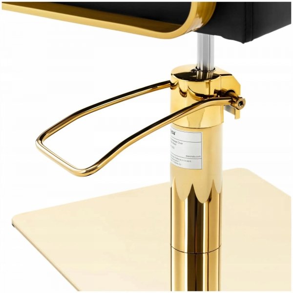 Fotel fryzjerski z podnóżkiem 50-66cm 200kg PHYSA PHYSA OTLEY BLACK 10040622 4062859180094