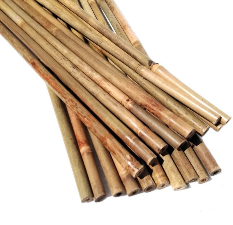 Paliki tyczki bambusowe