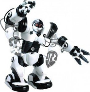 Robosapiens