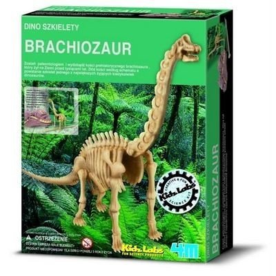 Wykopaliska Brachiozaur - dino szkielet