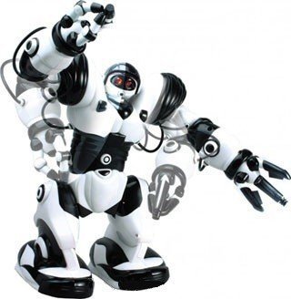 Robosapiens