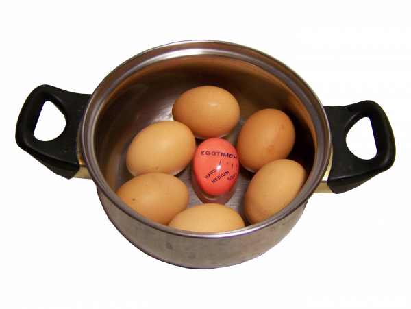Kukułcze jajko - timer do gotowania