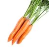 Wysokiej Jakości Warzywa, nasiona marchewki
