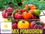MIX najsmaczniejszych pomidorów - zestaw 5 odmian pomidorów nasiona Z6