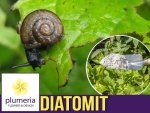 Diatomit - ziemia okrzemkowa odstraszy pluskwy, karaluchy i inne szkodniki 2kg
