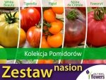 Kolekcja Pomidorów (zestaw 5 odmian) nasiona