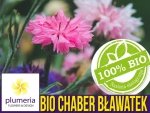 BIO Chaber bławatek Ball Mixture nasiona ekologiczne 0.50g 
