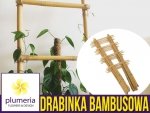 Drabinka Bambusowa - podpora do roślin 60 cm - 1 szt.