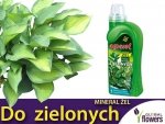 Agrecol Nawóz Mineral Żel do roślin zielonych 0,5l