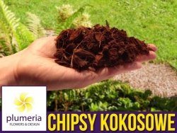 COCO CHIPS Chipsy, zrębki kokosowe - dodatek do podłoża 5l