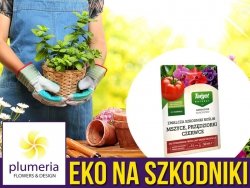 Agrocover Naturalny środek na Mszyce, Przędziorki, Czerwce (koncentrat) 50ml