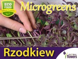 Microgreens - Rzodkiew 3g