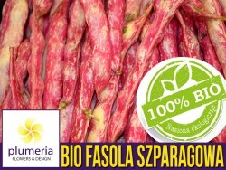 BIO Fasola szparagowa BORLOTTO 3 nasiona ekologiczne 30g