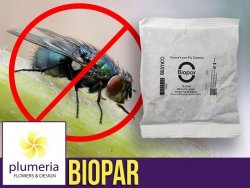 APPIWASP (Biopar) naturalny wróg do zwalczania much