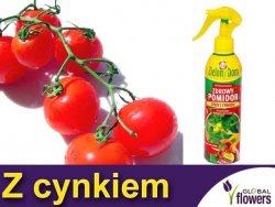 Spray z cynkiem zdrowy pomidor, fasola, truskawka, papryka