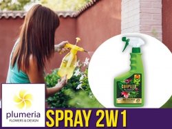 Spray Complete 2W1 na szkodniki i choroby grzybowe. COMPO 500ml