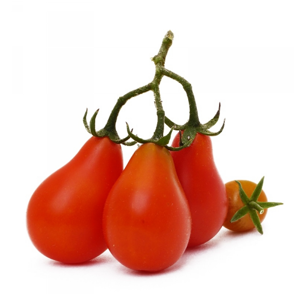 Najsmaczniejsze odmiany pomidorów koktajlowych