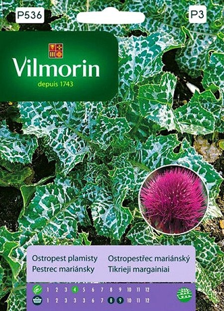 Ostropest plamisty (Silybum Marianum) nasiona 2g