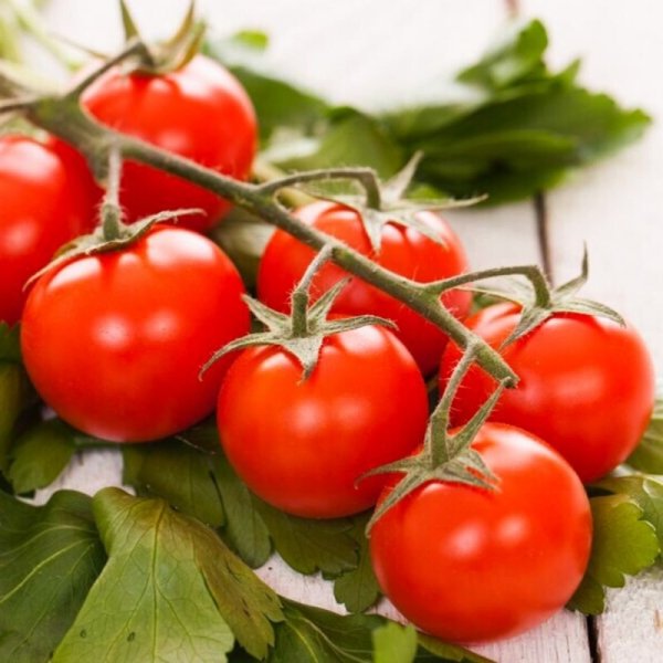 Pomidor cherry Bajaja niska cena