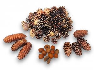 Szyszki Świąteczn Wianek Dekoracja Zdobienia Susz 70 elementów