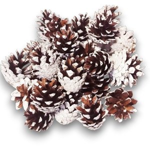 25 x Naturaln Szyszka Ozdoba Szyszki Ośnieżone Bielone Dekoracja Stroik Wianka