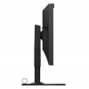 EIZO ColorEdge CG319X - monitor 32, 4096x2160, 4K, AdobeRGB 99%, DCI-P3 98%, wbudowany kalibrator