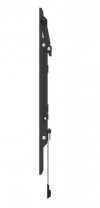 Neomounts Uchwyt ścienny WL35-550BL16  40-75 cali