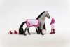Schleich Zestaw startowy figurki Sofia i Dusty
