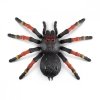 ZURU Robo Alive Figurka interaktywna Wielka Tarantula