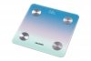Blaupunkt Waga personalna z Bluetooth BSM601BT