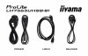 IIYAMA Monitor 75 cali LH7565UHSB-B1, 24/7, IPS, ANDROID 11, 4K, 800cd, iiSignage2, SDM, 2x HDMI, DP, 2x USB,2x 10W, RJ45, WiFi,