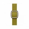 Apple Pasek w kolorze zieleni Chartreuse z klamrą nowoczesną do koperty 42 mm - rozmiar M