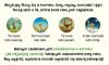 Nasza księgarnia Gra Kurnik 2 - Cztery pory roku